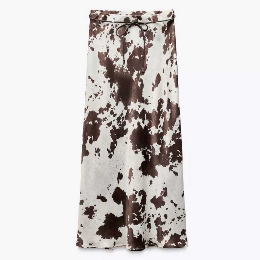 Sold Out Zara Brown and Black Maxi Slip Skirt